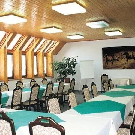 Ring 酒店 Svinčice